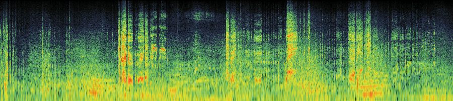 Spectrogram