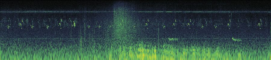 Spectrogram