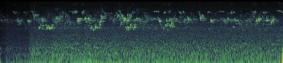Spectrogram