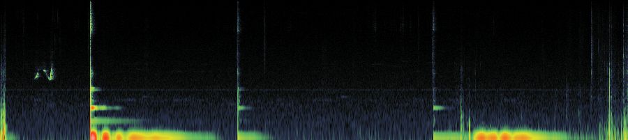 Spectrogram