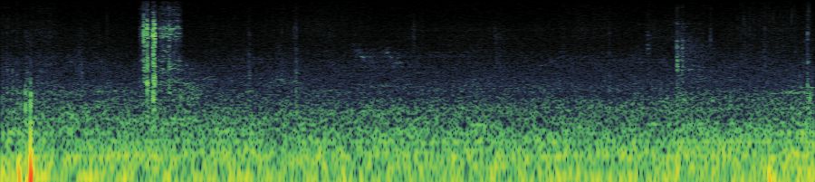 Spectrogram