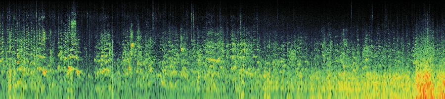 Spectrogram