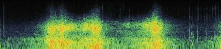 Spectrogram