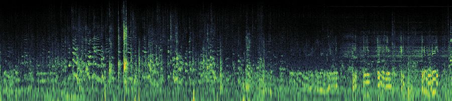 Spectrogram