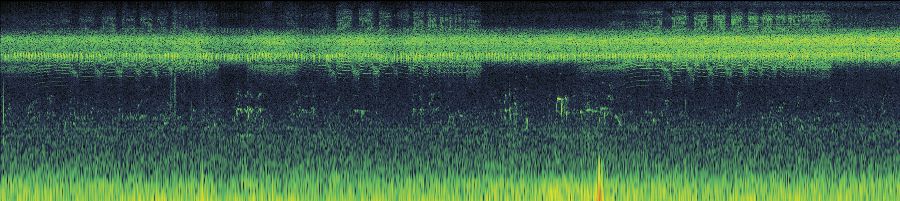 Spectrogram