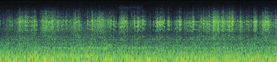 Spectrogram