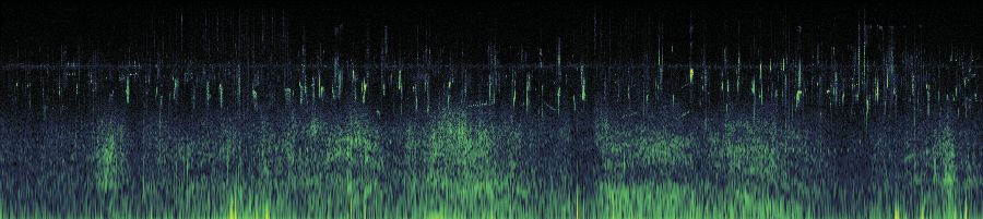 Spectrogram