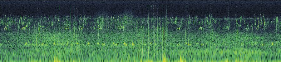 Spectrogram
