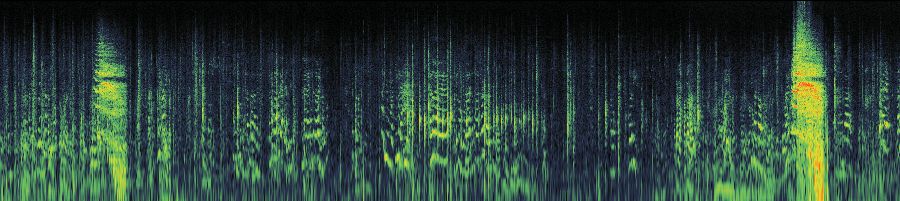 Spectrogram
