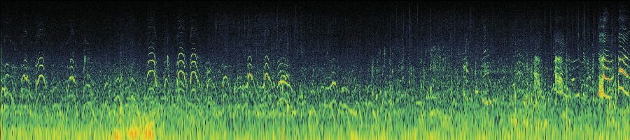 Spectrogram