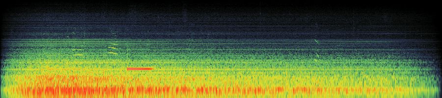 Spectrogram