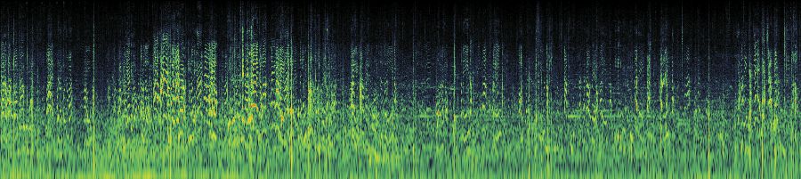 Spectrogram