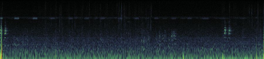 Spectrogram