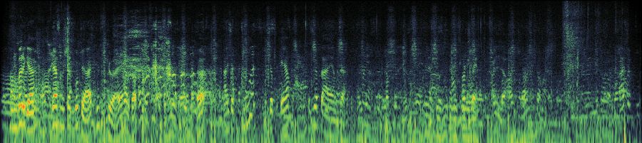 Spectrogram