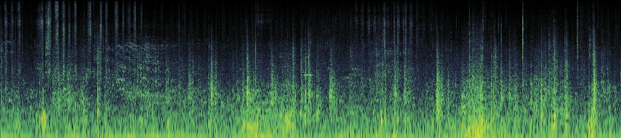 Spectrogram