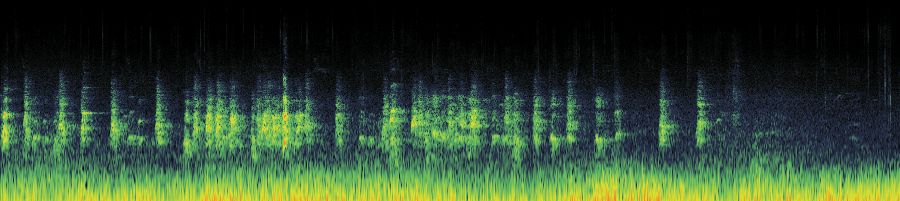 Spectrogram