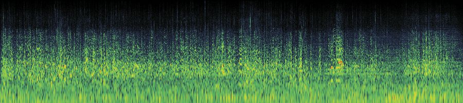 Spectrogram