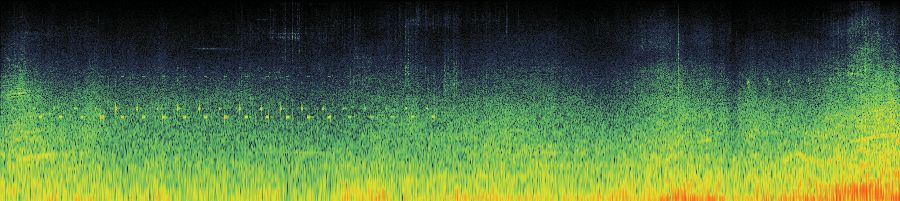 Spectrogram