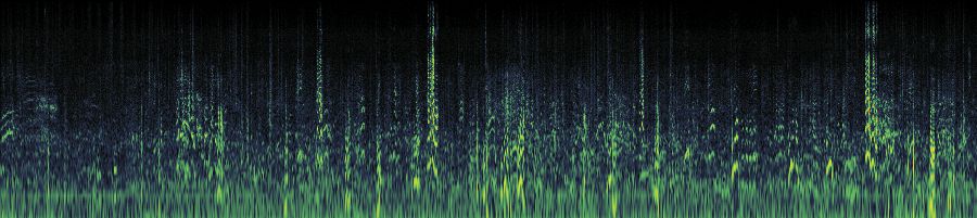 Spectrogram