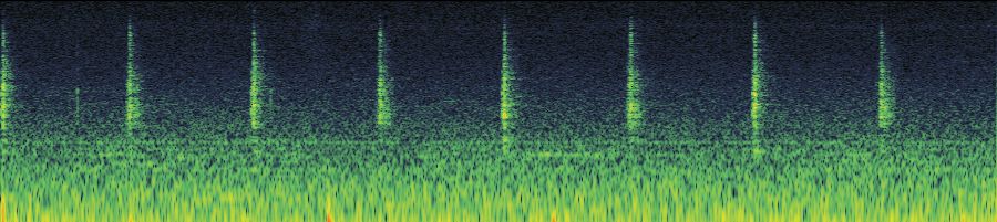 Spectrogram