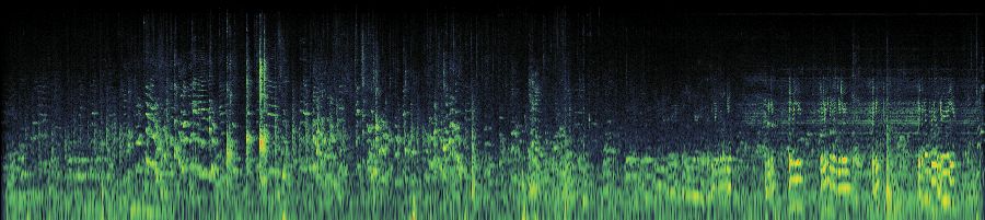 Spectrogram