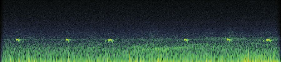 Spectrogram