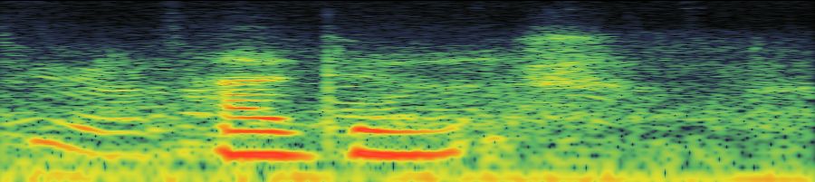 Spectrogram