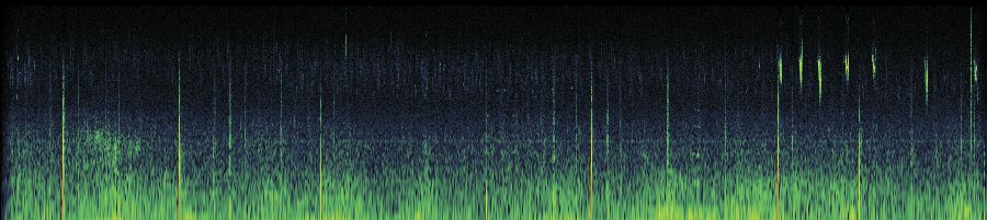 Spectrogram