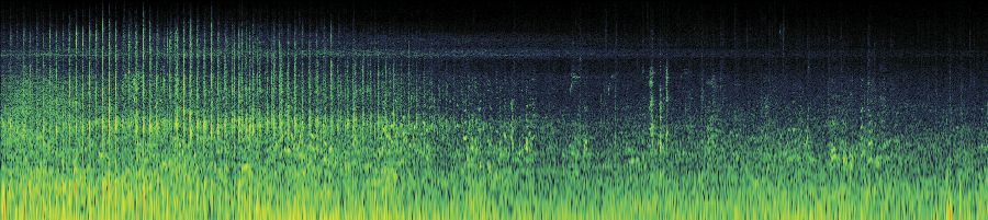 Spectrogram