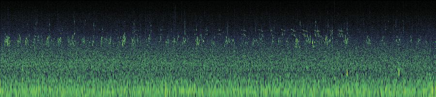 Spectrogram