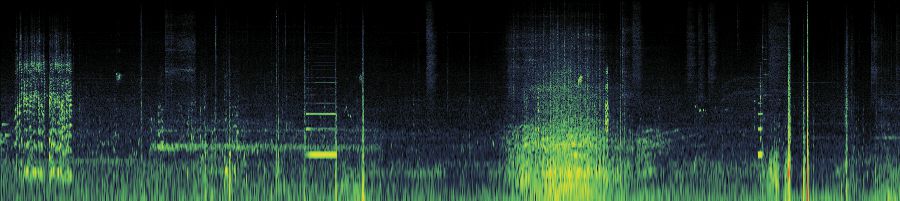Spectrogram