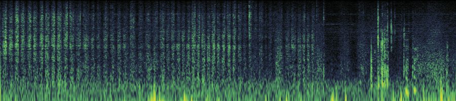 Spectrogram