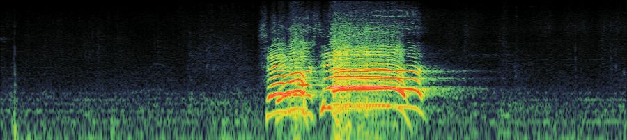 Spectrogram