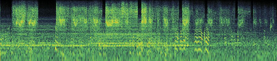 Spectrogram