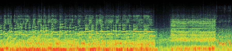 Spectrogram