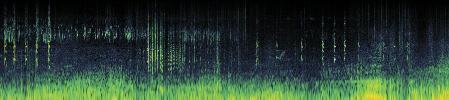 Spectrogram