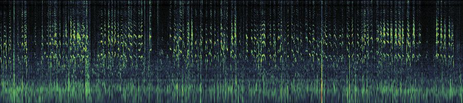 Spectrogram