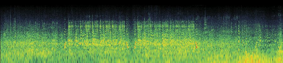 Spectrogram