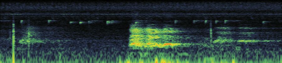 Spectrogram