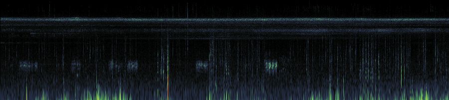 Spectrogram