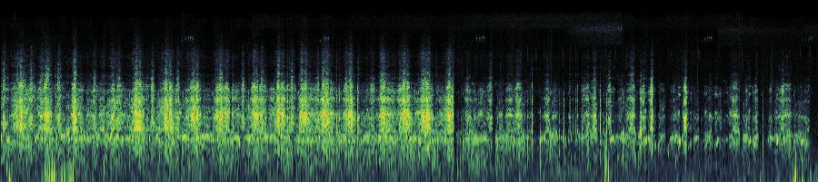 Spectrogram