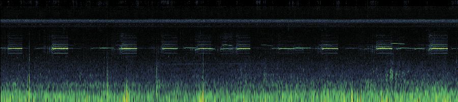 Spectrogram