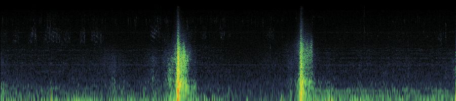 Spectrogram