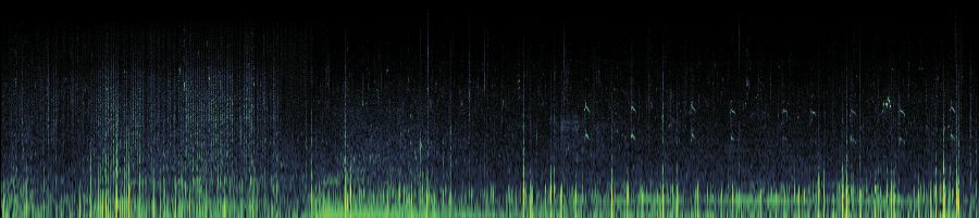 Spectrogram