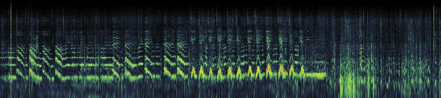 Spectrogram