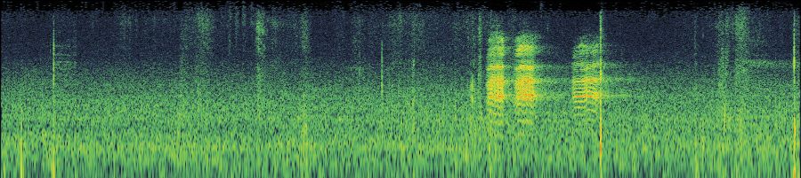 Spectrogram